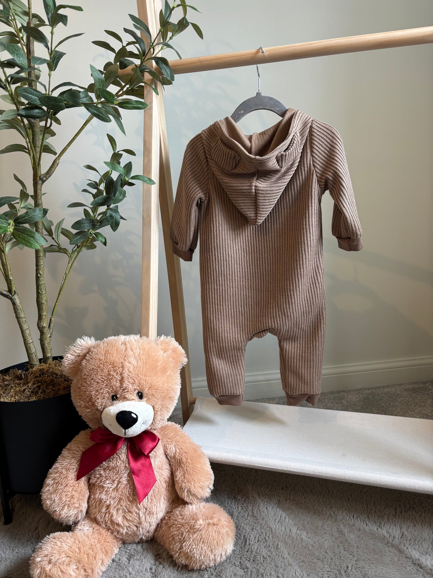 The Bear Cub