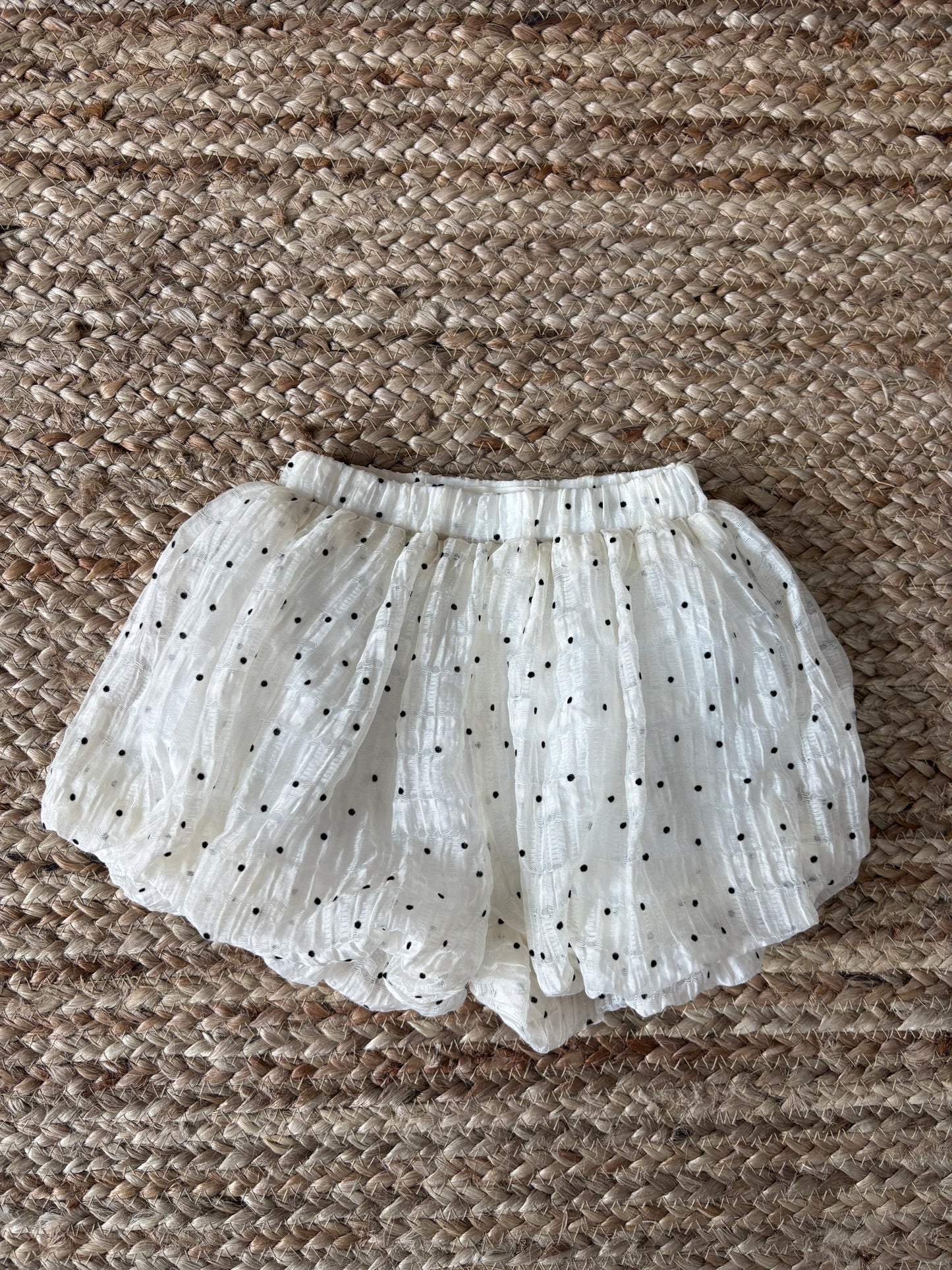 Dalmatian