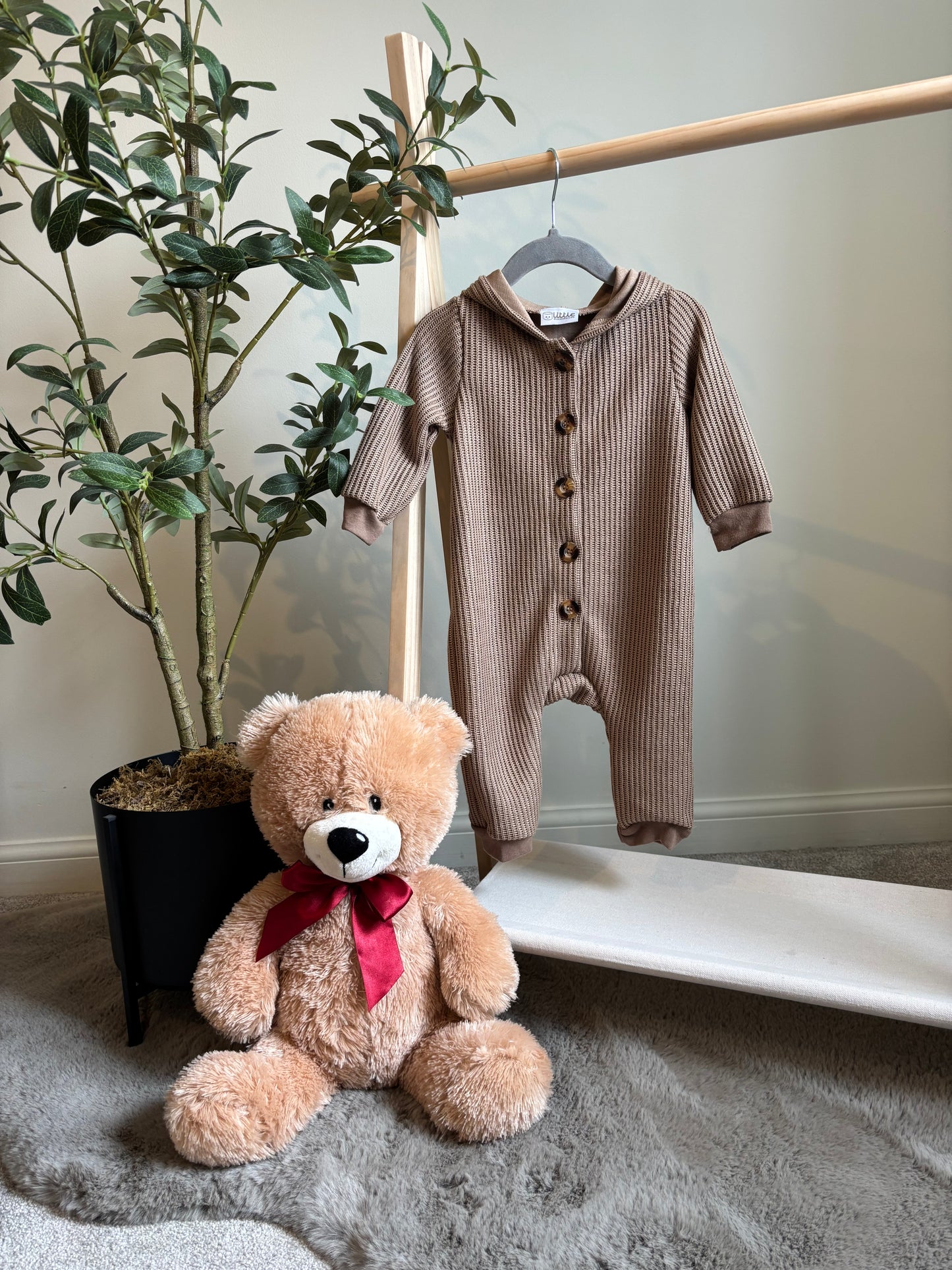 The Bear Cub